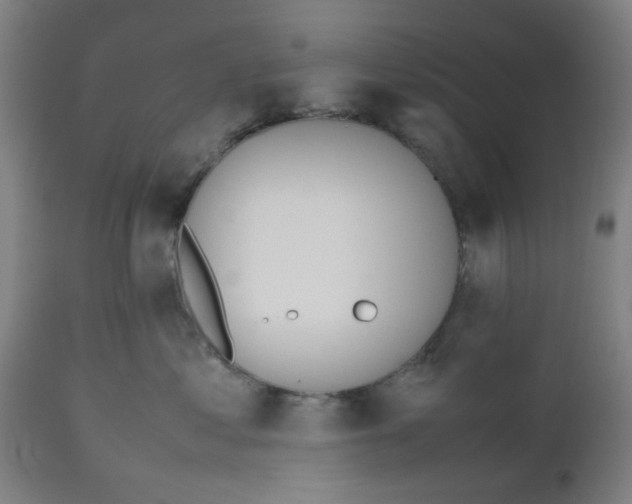 X0000112490621200909071222