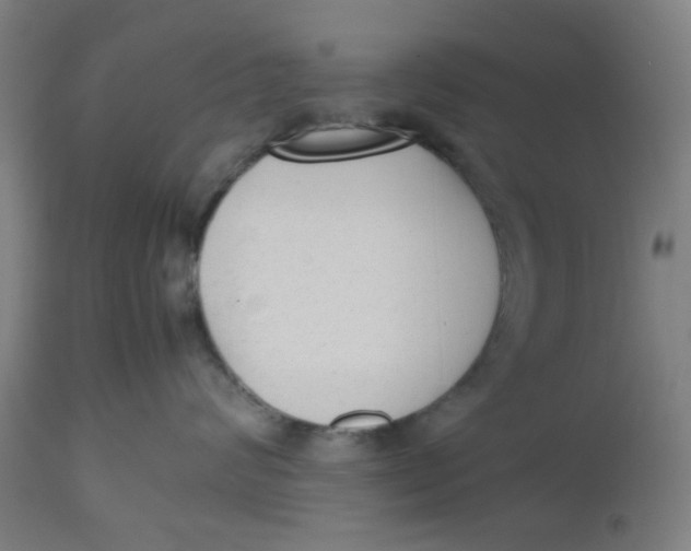 X0000112490624200909071222