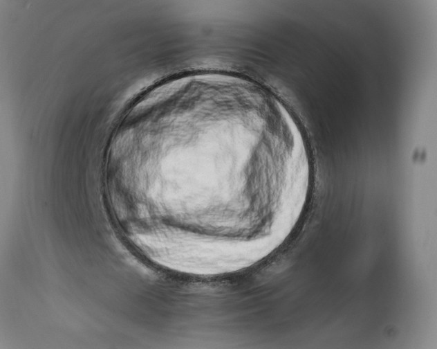 X0000112490625200909071222