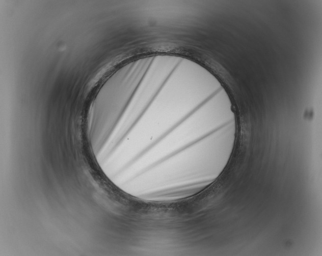 X0000112490626200909071222