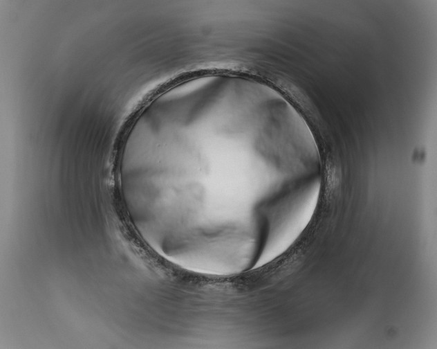 X0000112490628200909071222