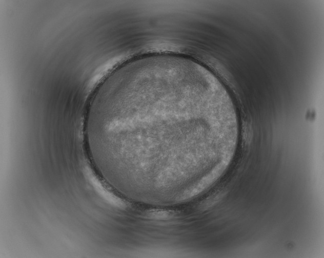 X0000112490629200909071222