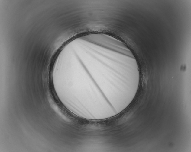 X0000112490630200909071222
