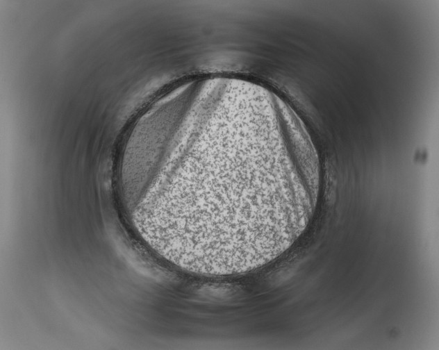 X0000112490631200909071222