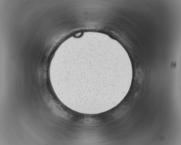 X0000112490632200909071222