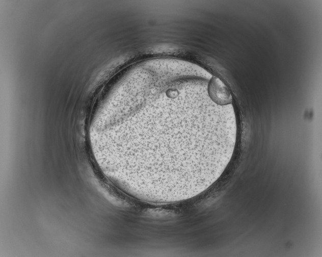 X0000112490633200909071222