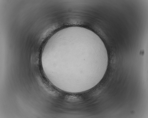 X0000112490635200909071222