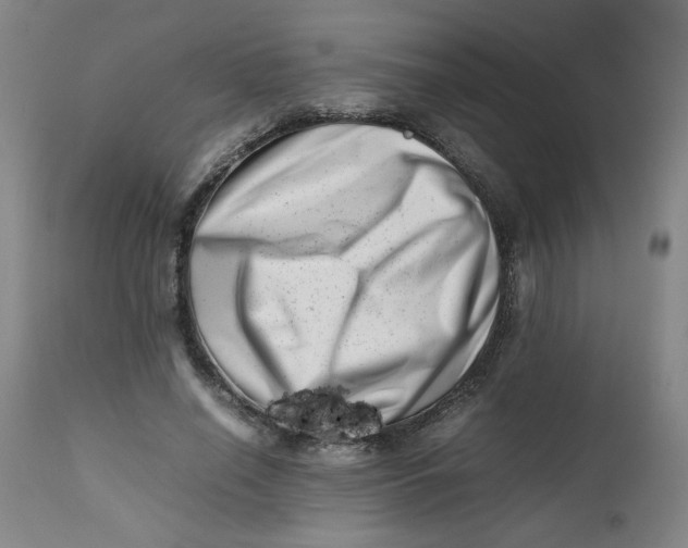 X0000112490638200909071222