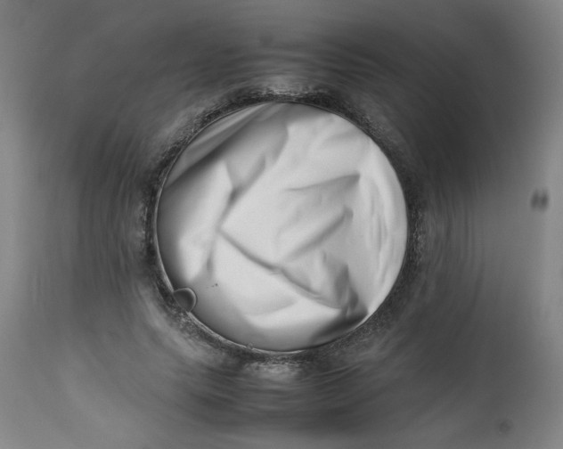 X0000112490639200909071222