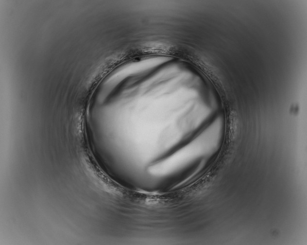 X0000112490641200909071222