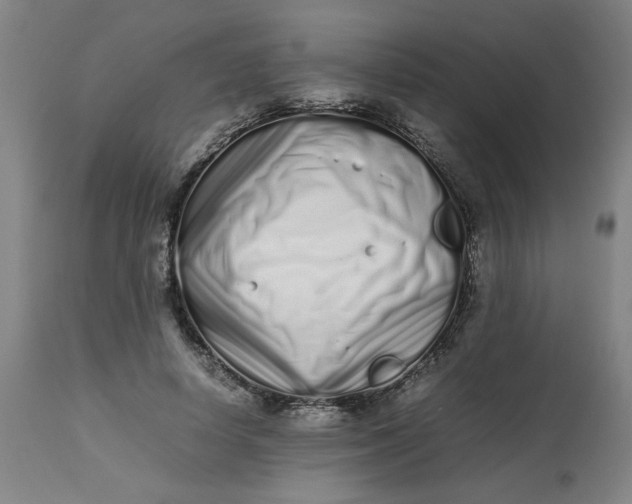 X0000112490642200909071222