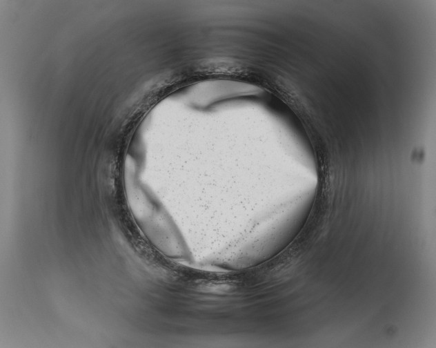 X0000112490643200909071222
