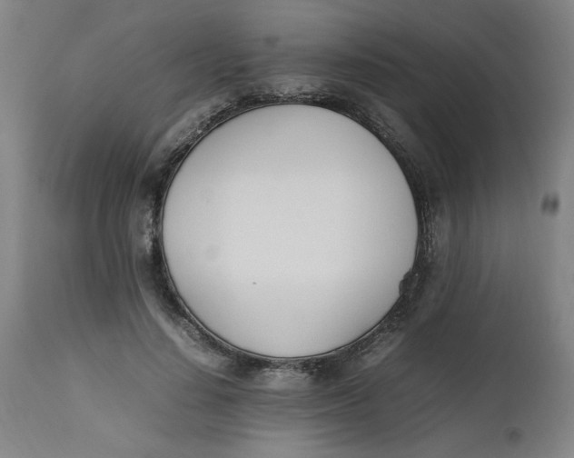 X0000112490644200909071222