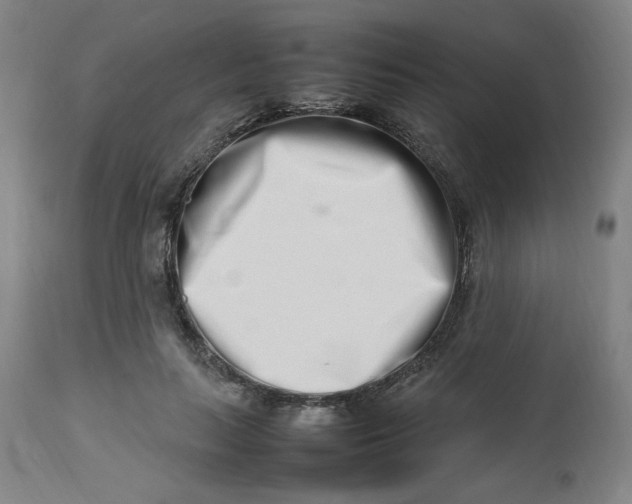 X0000112490647200909071222