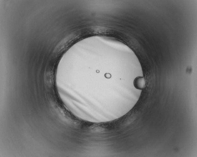 X0000112490648200909071222