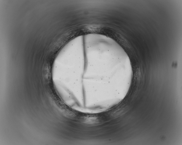 X0000112490651200909071222