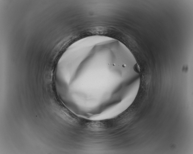 X0000112490652200909071222