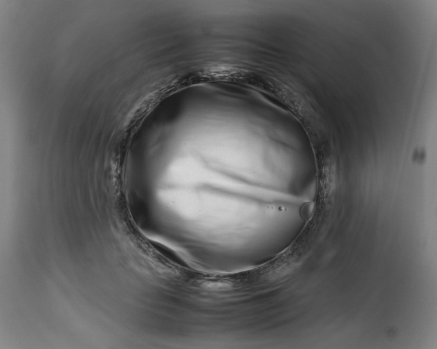 X0000112490653200909071222