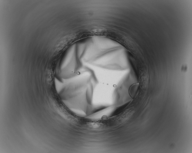 X0000112490654200909071222