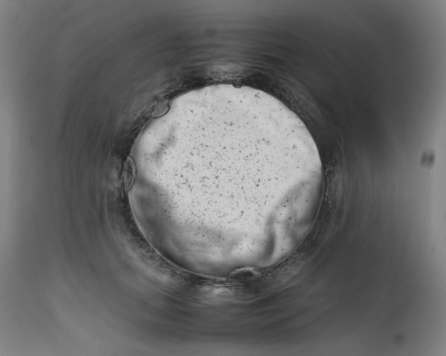X0000112490655200909071222