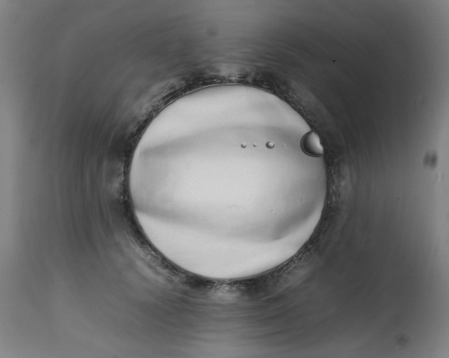 X0000112490656200909071222