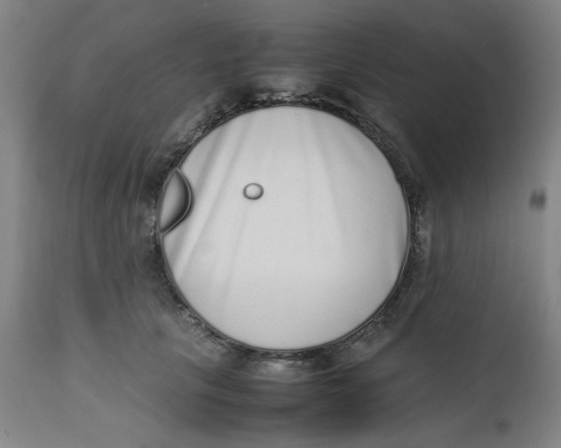 X0000112490657200909071222