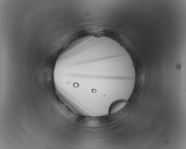X0000112490658200909071222