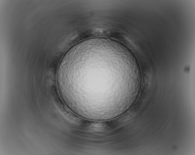 X0000112490659200909071222