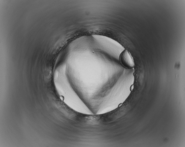X0000112490660200909071222