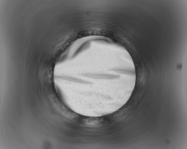 X0000112490661200909071222