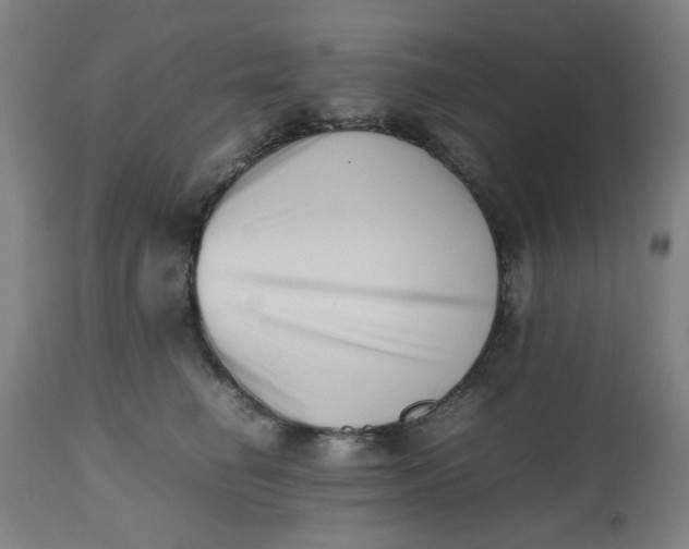 X0000112490662200909071222