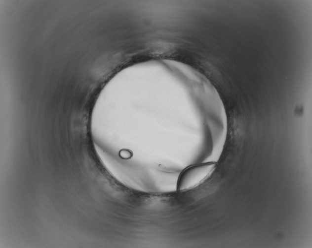 X0000112490664200909071222