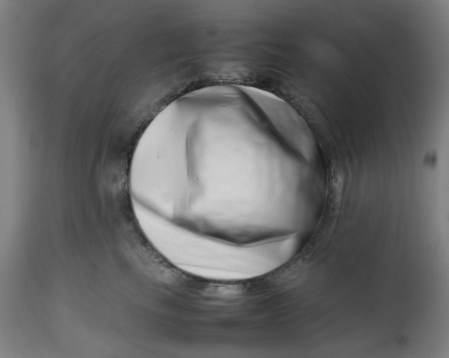X0000112490665200909071222