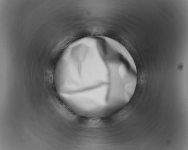 X0000112490666200909071222