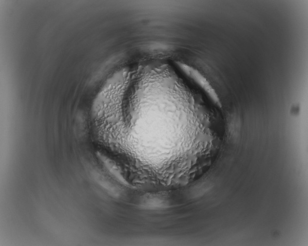 X0000112490667200909071222