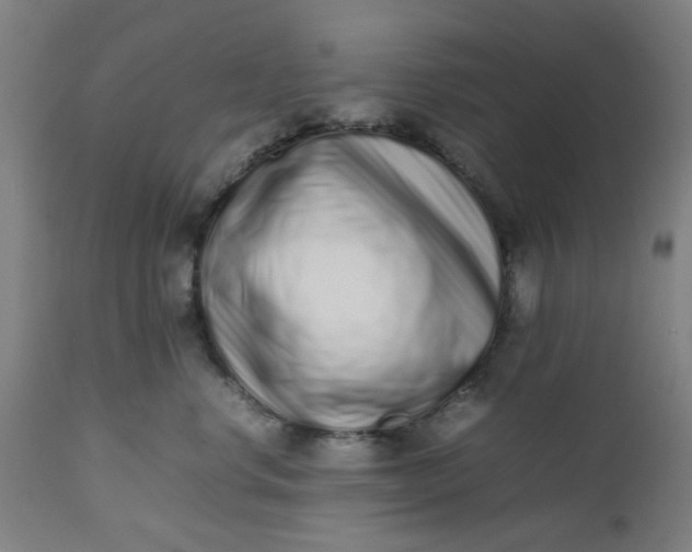 X0000112490668200909071222