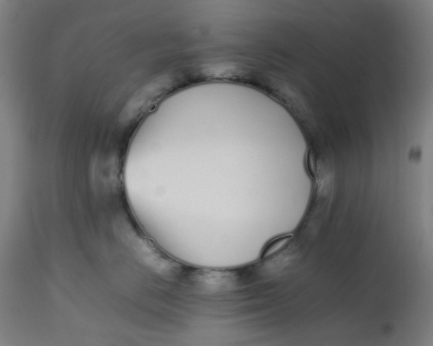 X0000112490670200909071222