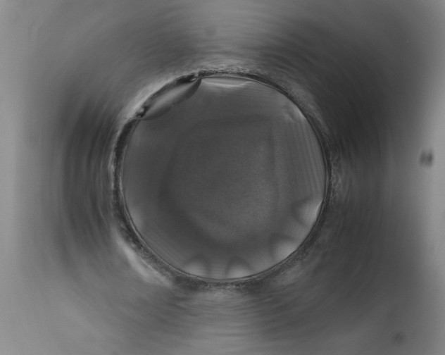 X0000112490674200909071222