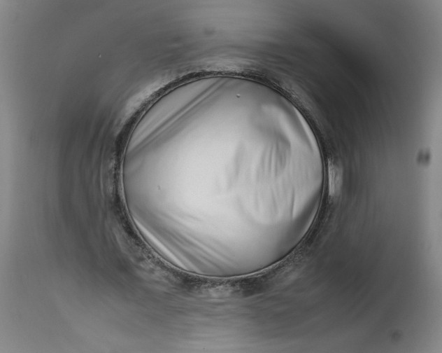 X0000112490675200909071222