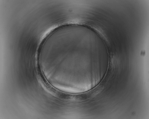X0000112490678200909071221