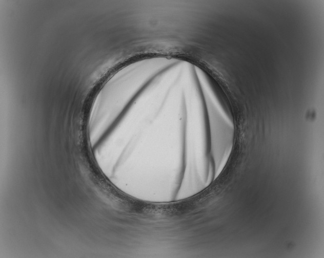X0000112490679200909071221