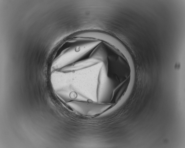 X0000112490680200909071221
