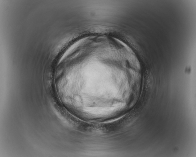 X0000112490683200909071221