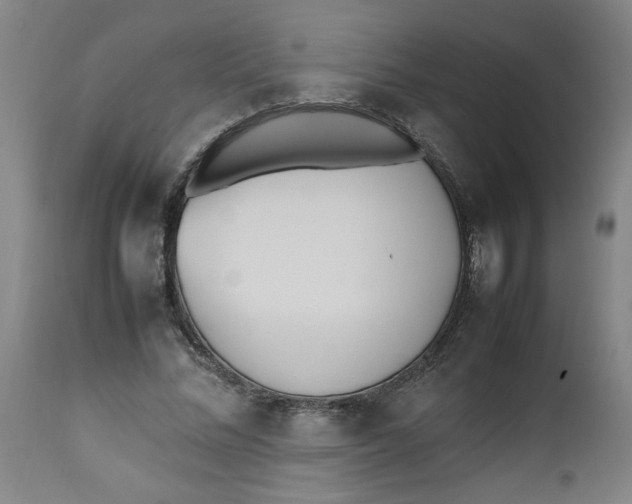 X0000112490684200909071221