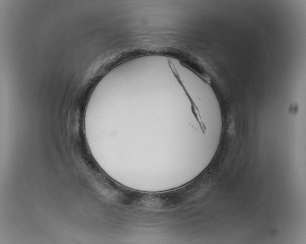 X0000112490685200909071221