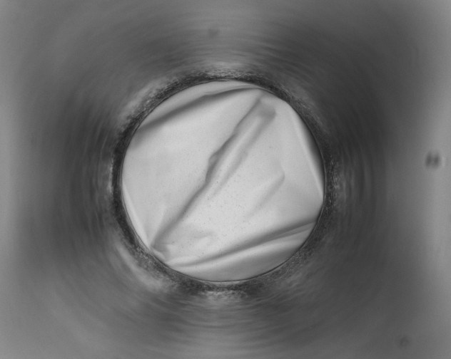 X0000112490686200909071221