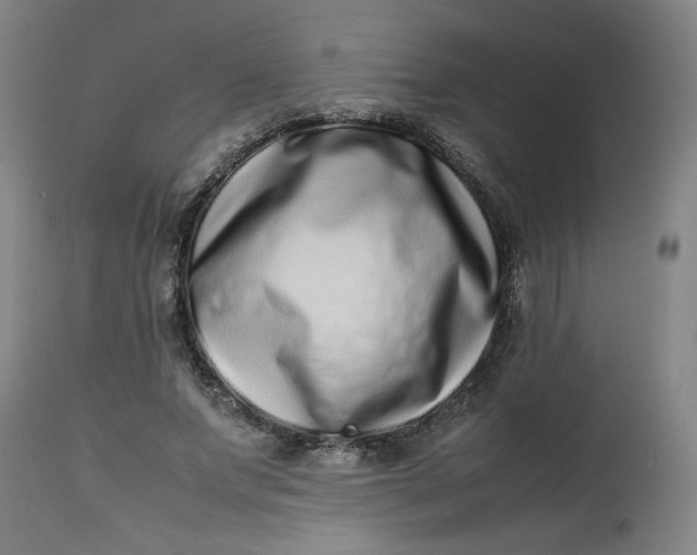 X0000112490687200909071221