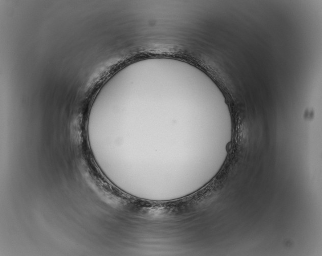 X0000112490688200909071221