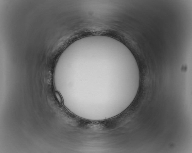 X0000112490689200909071221