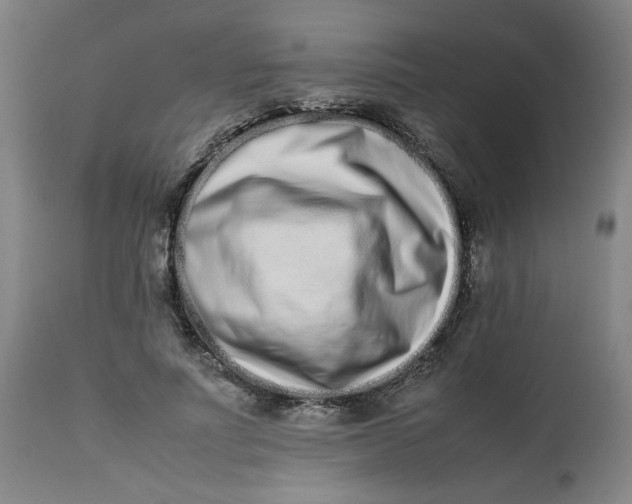 X0000112490691200909071221
